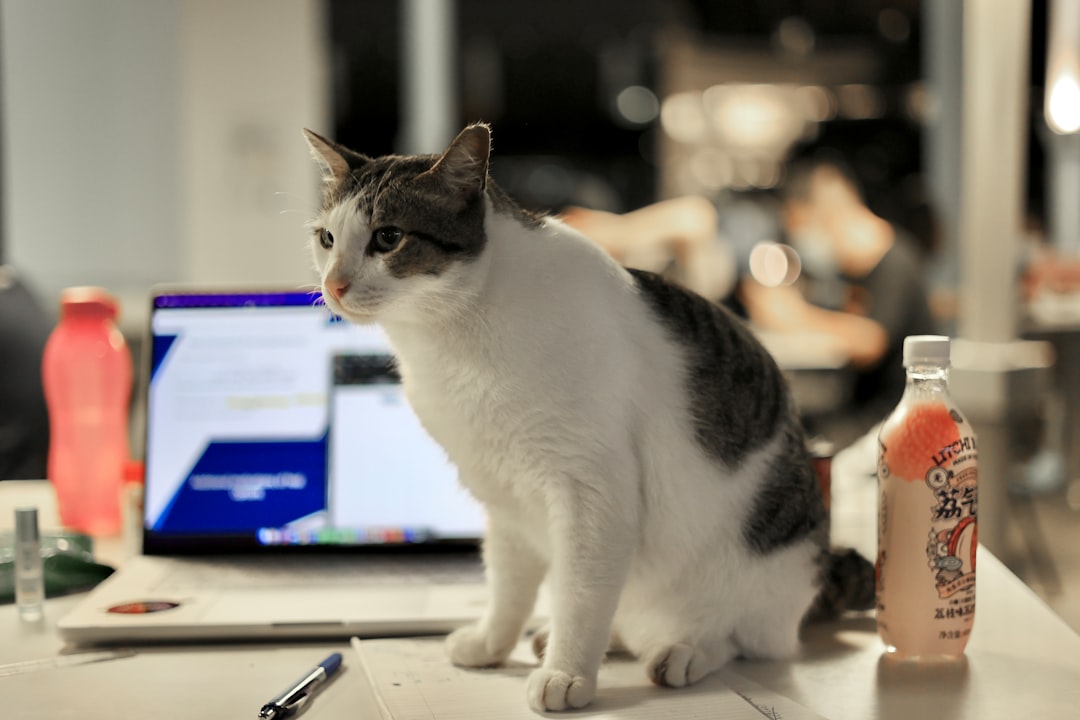 When Should You Use Freelance vs Agency vs In-House? — Content Writing Services Singapore: From Blog Posts to Long-Form Pillars