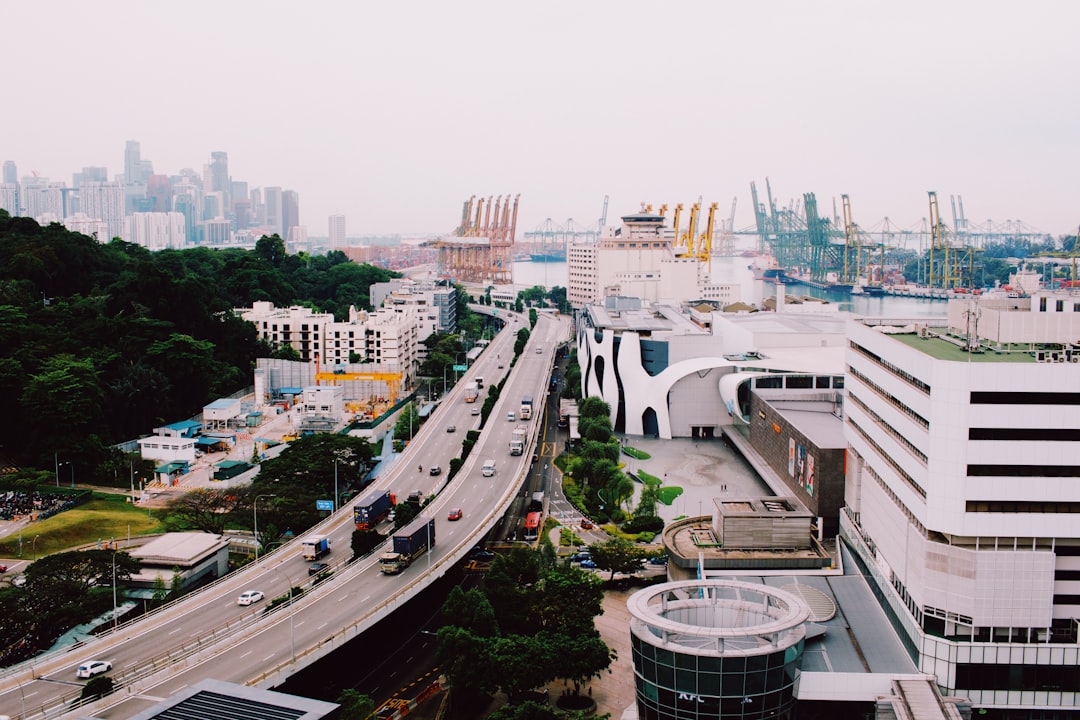 The SG WordPress Developer Landscape — WordPress Website Design Singapore: Custom vs Template Approach